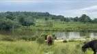 Foto 9 de Fazenda/Sítio à venda, 350000m² em Centro, Araputanga