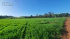 Foto 9 de Fazenda/Sítio com 1 Quarto à venda, 20000m² em Zona Rural, Ibiporã