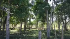 Foto 3 de Lote/Terreno à venda em Peroba, Rio das Ostras