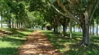 Foto 5 de Fazenda/Sítio com 3 Quartos à venda, 300m² em Condomínio Lago e Sol, Fronteira