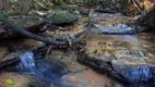 Foto 68 de Lote/Terreno à venda, 3000m² em Fazenda São Borja, São Leopoldo