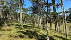 Foto 6 de Lote/Terreno à venda, 48000m² em Distrito de Aguas Brancas, Urubici