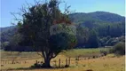 Foto 89 de Fazenda/Sítio com 3 Quartos à venda, 209m² em Bairro do Agudo, Bragança Paulista