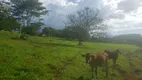 Foto 16 de Fazenda/Sítio à venda, 302500m² em Zona Rural, São Tomás de Aquino