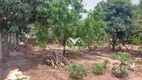 Foto 38 de Fazenda/Sítio com 2 Quartos à venda, 1500m² em Alvorada de Barra Bonita Vitoriana, Botucatu