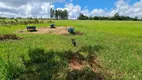 Foto 7 de Fazenda/Sítio com 1 Quarto à venda, 20000m² em Brazlândia, Brasília