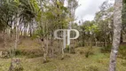 Foto 122 de Fazenda/Sítio com 3 Quartos à venda, 37000m² em , Campina Grande do Sul