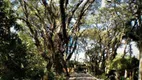 Foto 4 de Lote/Terreno à venda, 509m² em Bosque do Vianna, Cotia