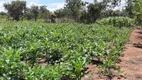 Foto 34 de Fazenda/Sítio com 3 Quartos à venda, 4500m² em Area Rural do Paranoa, Brasília