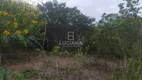 Foto 2 de Lote/Terreno à venda, 3000m² em Ebenezer, Gravatá