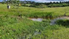 Foto 10 de Fazenda/Sítio com 2 Quartos à venda, 106000m² em Zona Rural, Monte Alegre