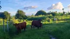 Foto 21 de Fazenda/Sítio com 4 Quartos à venda, 260000m² em Zona Rural, Monte Alegre