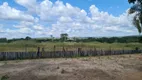 Foto 12 de Fazenda/Sítio com 2 Quartos à venda, 54250000m² em Zona Rural, Buritizeiro