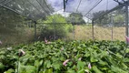 Foto 15 de Fazenda/Sítio à venda, 15000m² em Zona Rural, Ceará Mirim