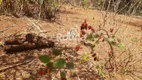 Foto 6 de Fazenda/Sítio à venda, 1350m² em Area Rural de Uberlandia, Uberlândia