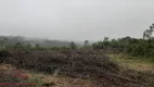 Foto 12 de Lote/Terreno à venda, 20000m² em Linha Imperial, Nova Petrópolis