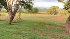 Foto 10 de Fazenda/Sítio à venda, 96800000m² em Zona Rural, Cassilândia