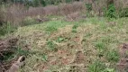 Foto 6 de Fazenda/Sítio com 2 Quartos à venda, 80m² em Zona Rural, Riozinho