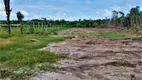 Foto 16 de Fazenda/Sítio com 1 Quarto à venda, 20000m² em Zona Rural, Presidente Figueiredo