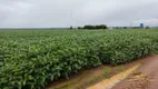 Foto 10 de Fazenda/Sítio com 3 Quartos à venda, 23000m² em Centro, São Félix de Balsas