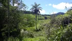 Foto 19 de Fazenda/Sítio à venda, 20000m² em Zona Rural, Caeté