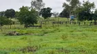 Foto 35 de Fazenda/Sítio com 5 Quartos à venda, 500m² em Zona Rural, Nossa Senhora do Livramento