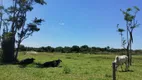 Foto 4 de Fazenda/Sítio com 2 Quartos à venda, 400000m² em , Carapebus