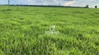 Foto 6 de Fazenda/Sítio à venda, 3050000m² em , São Francisco do Guaporé