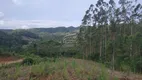 Foto 3 de Lote/Terreno à venda, 23421m² em , São Pedro de Alcântara