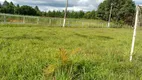 Foto 14 de Fazenda/Sítio com 3 Quartos à venda, 50000m² em Brazlândia, Brasília