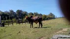 Foto 25 de Fazenda/Sítio com 4 Quartos à venda, 60000m² em Centro, Tatuí