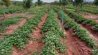 Foto 6 de Fazenda/Sítio com 3 Quartos à venda, 60000m² em Centro, Touros