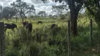 Foto 19 de Fazenda/Sítio com 8 Quartos à venda, 43000m² em Planaltina, Brasília