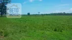 Foto 3 de Fazenda/Sítio à venda, 116950000m² em Zona Rural, Alvorada do Norte