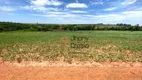 Foto 7 de Fazenda/Sítio à venda, 121000m² em Zona Rural, Mandaguaçu