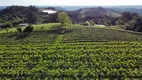 Foto 4 de Fazenda/Sítio à venda, 24000m² em Zona Rural, Monte Belo do Sul