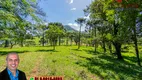 Foto 16 de Fazenda/Sítio à venda, 180000m² em Lajeadinho, Igrejinha