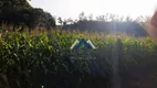 Foto 4 de Fazenda/Sítio com 3 Quartos à venda, 85m² em Zona Rural , Bela Vista do Paraíso
