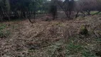 Foto 7 de Lote/Terreno à venda, 5000m² em Ferraria, Campo Largo