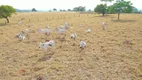 Foto 3 de Fazenda/Sítio à venda em Centro, Santa Isabel