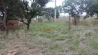 Foto 12 de Lote/Terreno à venda, 30000m² em Paranoá, Brasília