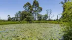 Foto 22 de Fazenda/Sítio à venda, 227550m² em Colônia Murici, São José dos Pinhais