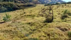 Foto 8 de Fazenda/Sítio com 2 Quartos à venda, 60m² em Zona Rural, Ouro Fino