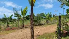 Foto 23 de Fazenda/Sítio com 3 Quartos à venda, 16720m² em Usina Três Bocas, Londrina