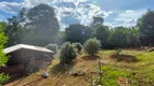 Foto 7 de Fazenda/Sítio com 3 Quartos à venda, 1383m² em Zona Rural, Nerópolis