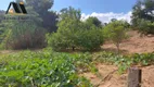 Foto 14 de Fazenda/Sítio com 3 Quartos à venda, 200m² em Zona Rural, Socorro