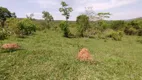 Foto 45 de Fazenda/Sítio à venda, 10m² em Zona Rural, Pontalina