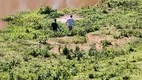 Foto 14 de Lote/Terreno à venda em Sao Paulino do Arace, Domingos Martins