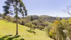 Foto 54 de Fazenda/Sítio com 3 Quartos à venda, 145m² em Zona Rural, Campina Grande do Sul