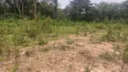 Foto 10 de Lote/Terreno à venda, 20000m² em Jardim Viviane, Campo Magro